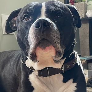 Meet your Posher, Mayson